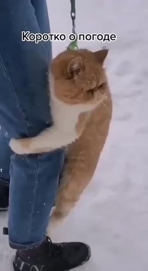 Как там на улице?