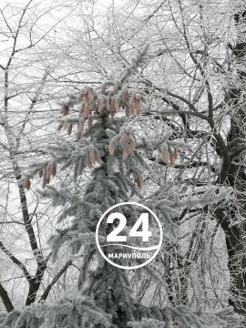 � ������ �����, ���������!