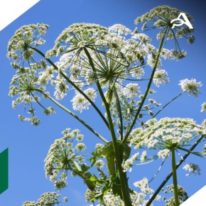 �������� ���������� ������������ ������ ������� � 1 ����� 2026 ����