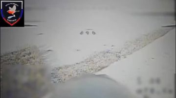 Дроноводы 37 бригады отработали по позициям ВСУ на Добропольском направлении