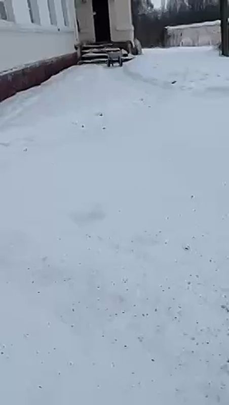 � �������� ������������ ������� ������ ������� �� ����� �������� ������������� ��������� ���