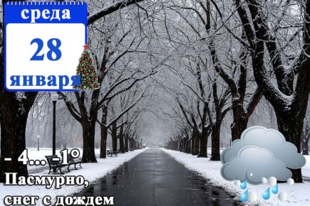 ��� ��� �����������:. 28 ������ � ���������� ��������� ����� ������� ����, ������� �����, � ������ �������� ��� �����, ���������-����������� ���������, �� ������� ������� �����, ���������� � ���, �� ��������� ��������� ����...