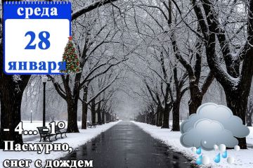 МЧС ДНР информирует:. 28 января в Республике ожидаются ночью местами снег, ледяной дождь, в первой половине дня туман, гололедно-изморозевые отложения, на дорогах снежный накат, гололедица в ДНР, по акватории Азовского моря...