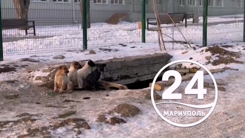 ���� ������������ ����� ������� ���������� � ���������