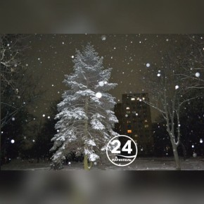 ��������� ����, ���������!