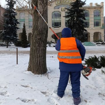 Иван Адамец: Специалисты муниципального предприятия «Зелёное строительство» проводит в Куйбышевском районе плановое кронирование деревьев в рамках мероприятий по благоустройству и содержанию зелёных насаждений