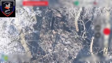 ��������� 37 ������� ���������� �� �������� ��� �� ������������� �����������