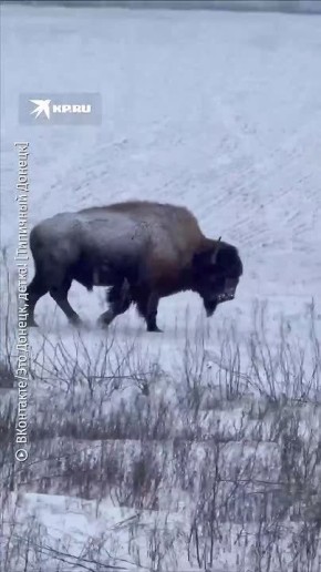 �������� ������ �� ������!�: ��������� �������� ������������ ������� ����� ������ ������� ��������� � ������� ���