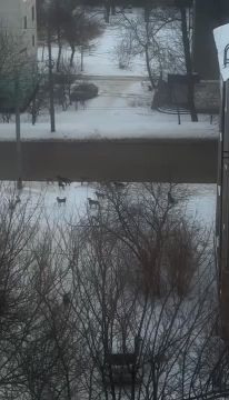 �������� ���� ����� � ��������