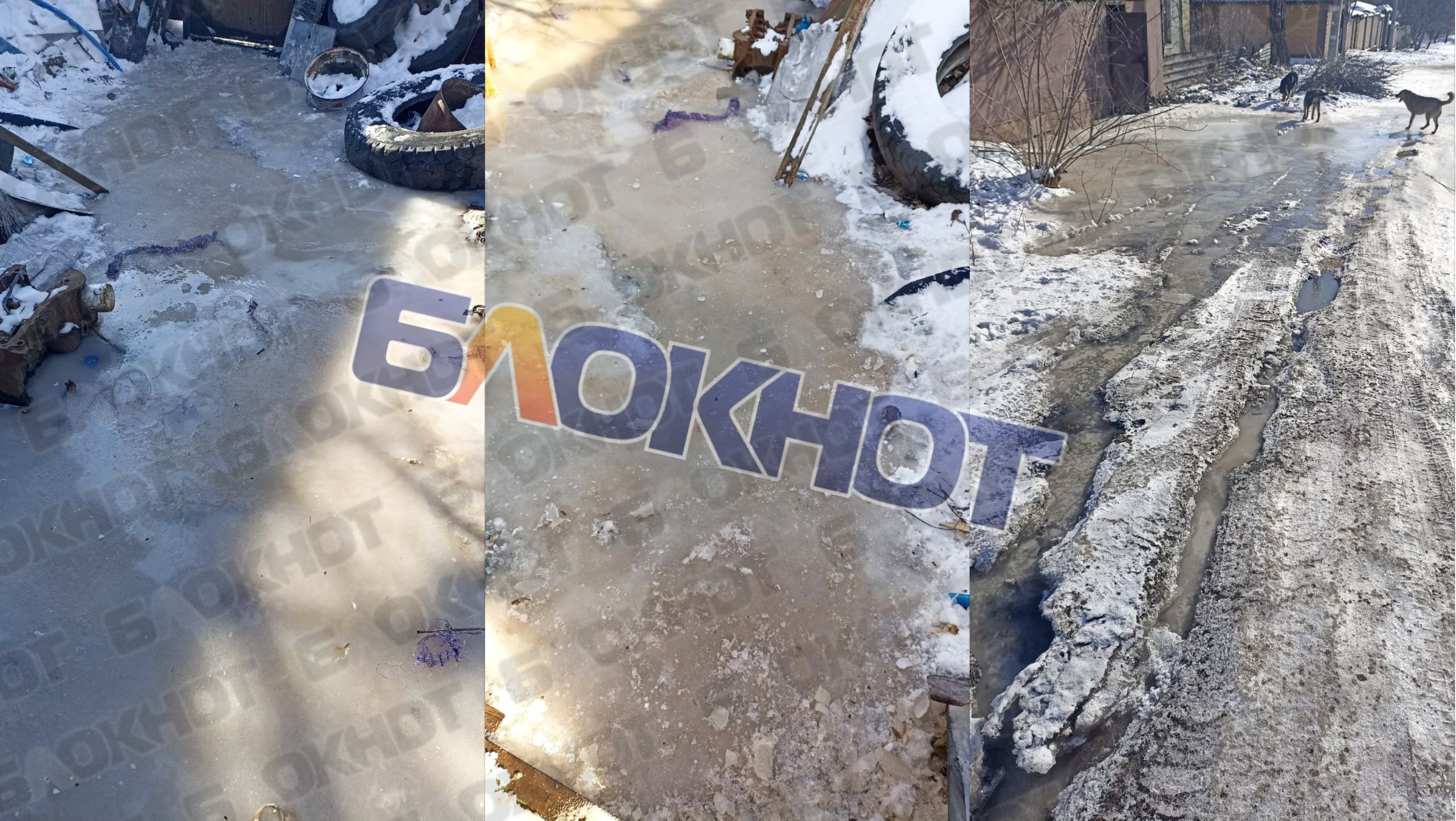 Жители Макеевки утопают в фекальной массе, разлитой под окнами прокуратуры