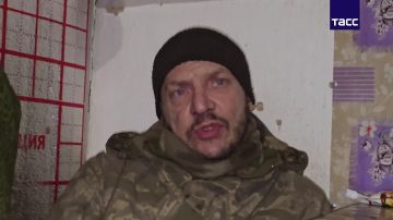 ��� �������� �������� ������ ������ � ���� ��������� �������� � 2014 ����