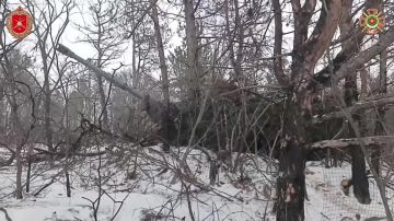 ����������� 74 ���� ��������� ������ ����� ���������� ������� � ������ �������������� �� ���������� �����������