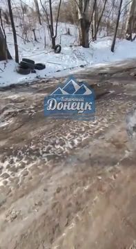 ��� ������ ���� ����������� ���� ���� ������� �� ����� �������� � �������