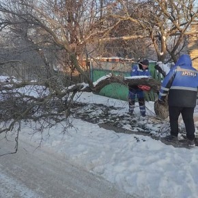 ������� ������ ��������� ����� �������� � �����������