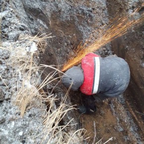 ��������������� �������� ����� 20 �������������� � �������������� � �������������� � ��������� ������ ���