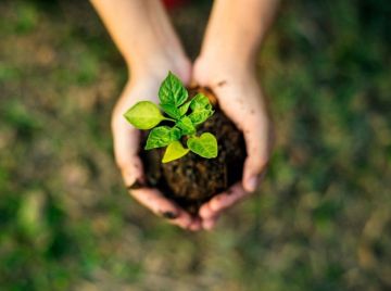 ���������� ��� ����������� � ��������� ������ �������� ������ �������� � ����� �������� � ��������