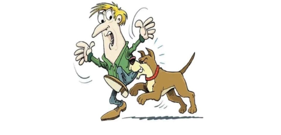 ������ � 23 ���������������� ��������� ���������� �������� �������� ���������� ���������������� ����� �� �������������� ��� ���������� ��������� ������������� �������������� ������ ���������� ��������� � ������ � ��������...