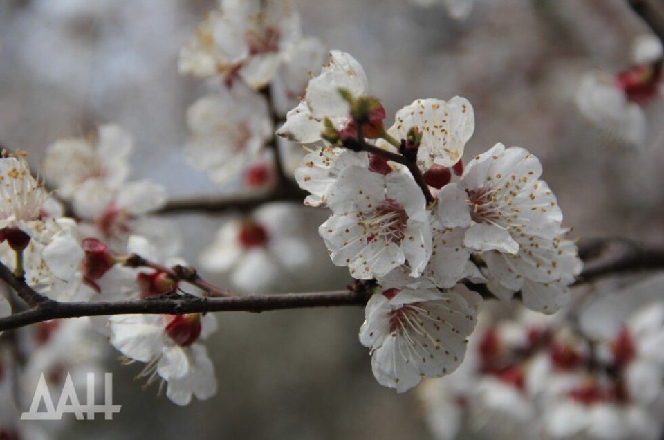 ������� ������ ������������� ������ ��� ������� ������, ��������� � �������