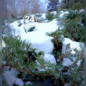 � ������ �����, ���������!