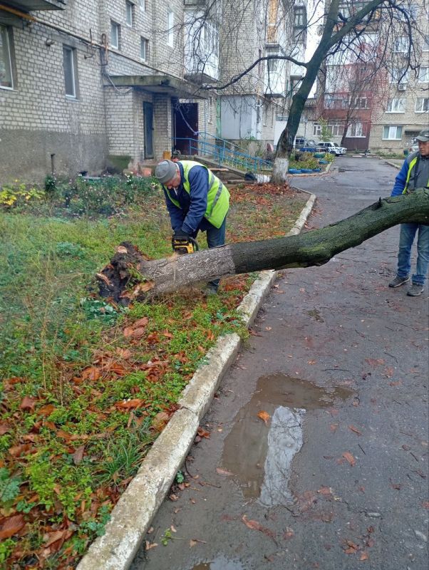 ��������� ������: ���������� ������ �� ��������������� ������