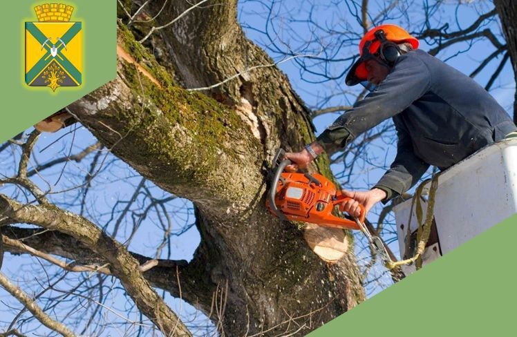 ��������� �������: � ����������� ������� ������ �� ��������������� � ����������� ������������ �������