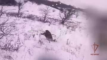 ����� ���������� ��������������� ���������� FPV-������ �������� ��������� ������� ���������� ������ �������� ��� �� ����������� �����������