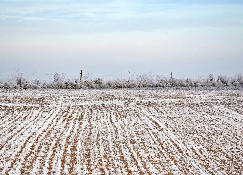 ����� �����: �������� ������ � ������������� ������ �������� ���������� ��������� �������