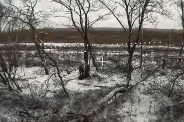 ���������� ��� ���������� ������������ ������ � ���������