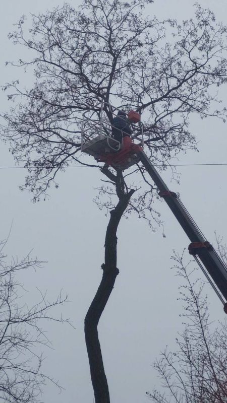 ��� �������� ��������� ��������� ��� ����������� ������ �� ���������� ��������� ����