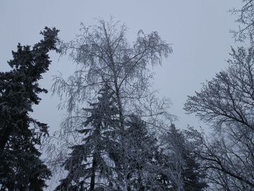 31 ������ � ���������� �������� ������, ������� ����� � ������ ������