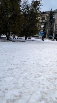 Сообщают, что в Торезе женщина натравила свою собаку на подростка