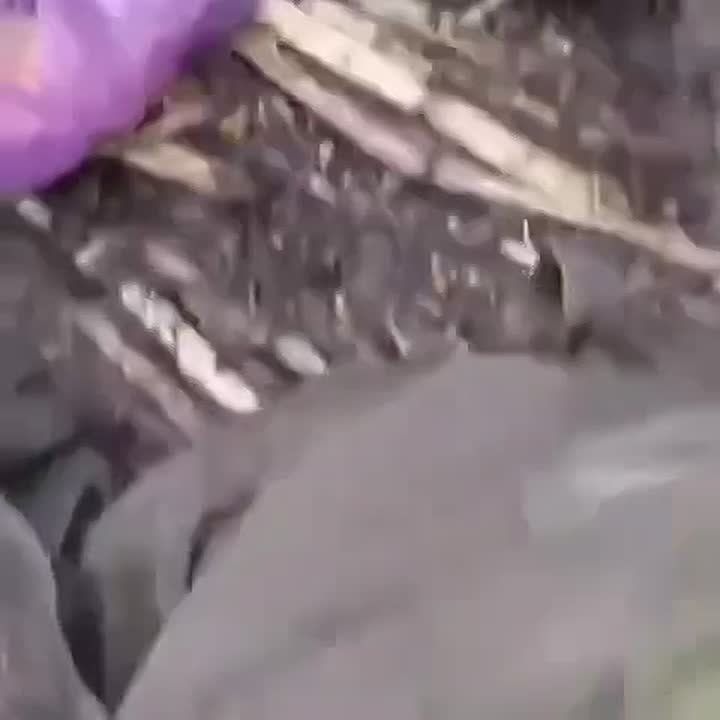 Сергей Карнаухов: Четыре километра по грязи. На Покровском направлении, по снегу, полям и посадкам