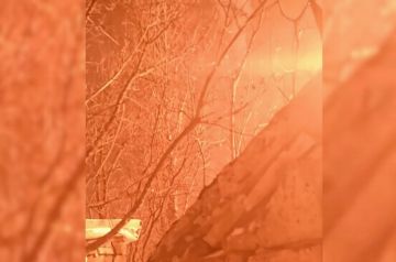 ������ �������� �� ������ ������������ 215 ��������� �������������