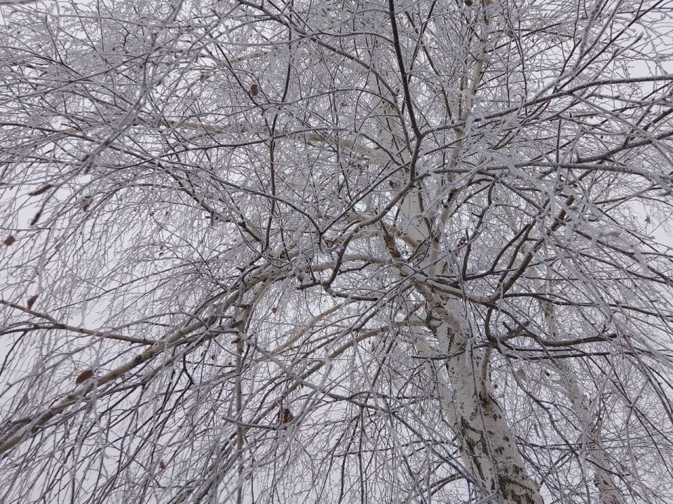 ����� �����: ������ ����, ������������� ������������� �����!