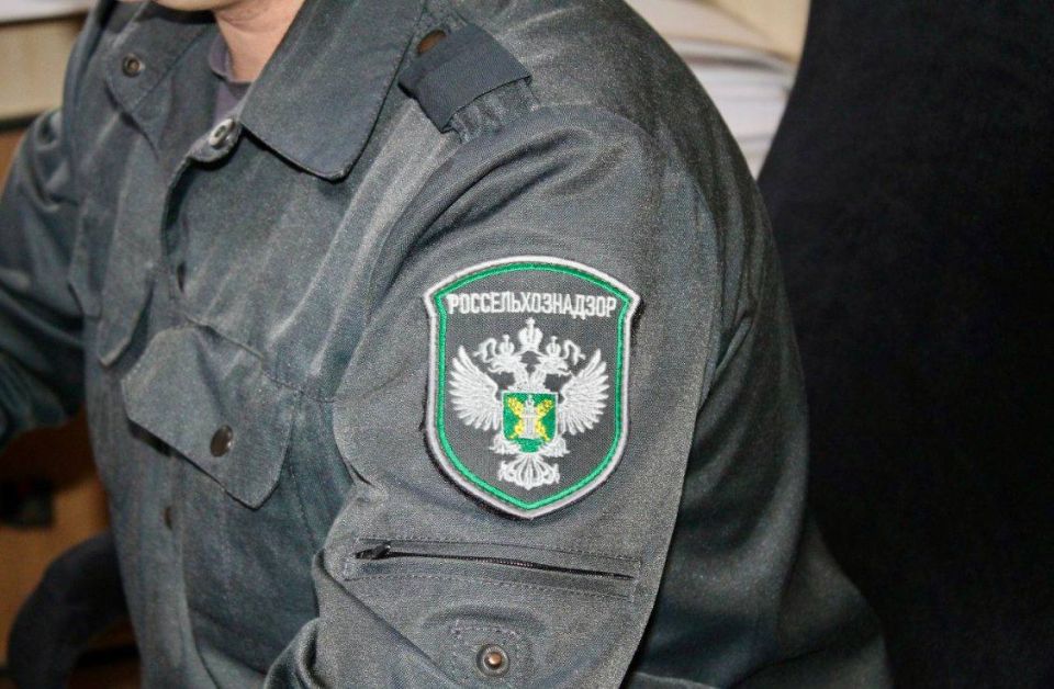 26 ������ �������� ���� ����������� ����������������� �� ��� � ��� ��� ����������� ���������� ���� �����ѻ ��������� ����������� ��� ���������, ���������� ��� ������������ ������������