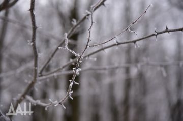 � ��� � ���� ���� ����������� ���������� �������� �� ����� 22 ��������