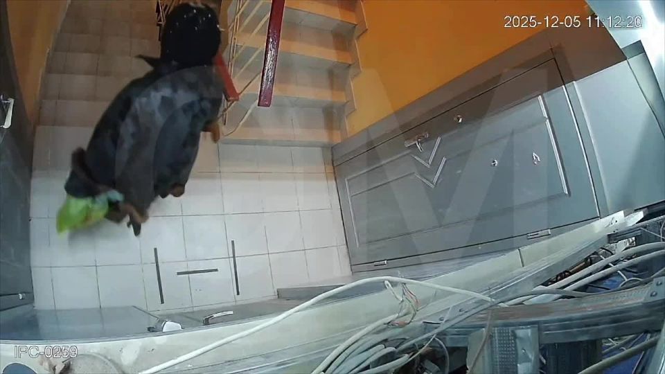 ������� � ����������� ������� ������������� ������� � �������� ��������� ��-�� �����