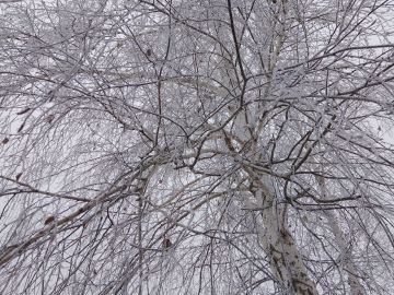 Игорь Лызов: Доброе утро, Амвросиевский муниципальный округ!