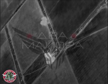 ��� ������: ���������������� �����������