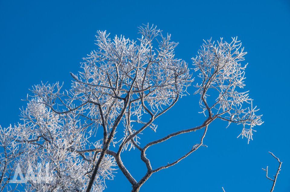 Леденящие факты. Чего вы не знали о холоде