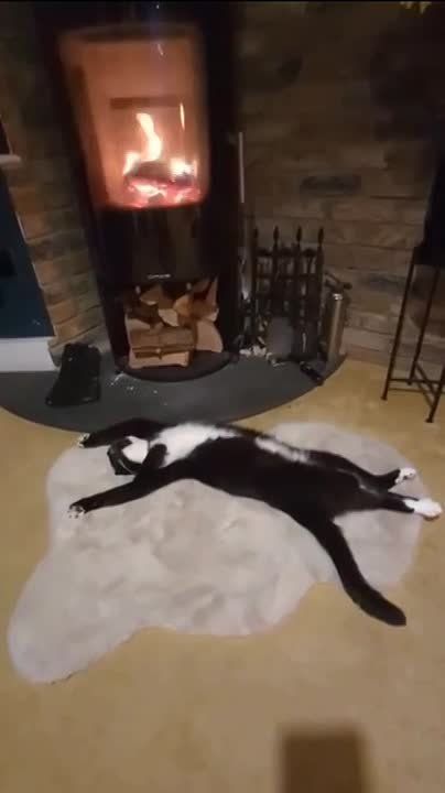 ������: ������� �� ���������
