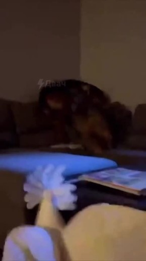 �� ����� ����� ������� ������� ���������� ����� � �������!