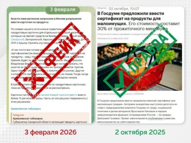 В соцсетях распространяют #фейк, будто продуктовые карточки вводят в 7 регионах, включая ДНР