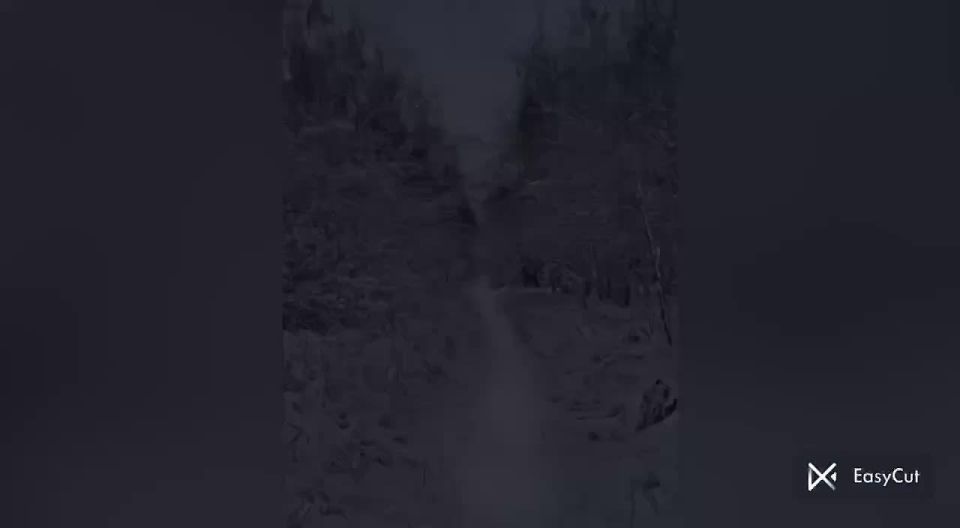 ������� � ���������. ��������� ������ ���������� ������� �������� ������ ��������� ������ ����� ����� ���������� � ������ ����� "������� � ���������"! ������ �������� �������� ���� ������ ����������, ���������� �������...