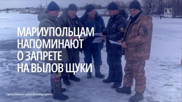 �� �������� �������� � 15 ������ �� 15 ������ ������������ ��������� ����������� � �������� �����-������������� �������� � ��������� �� ���������� ��������� ����