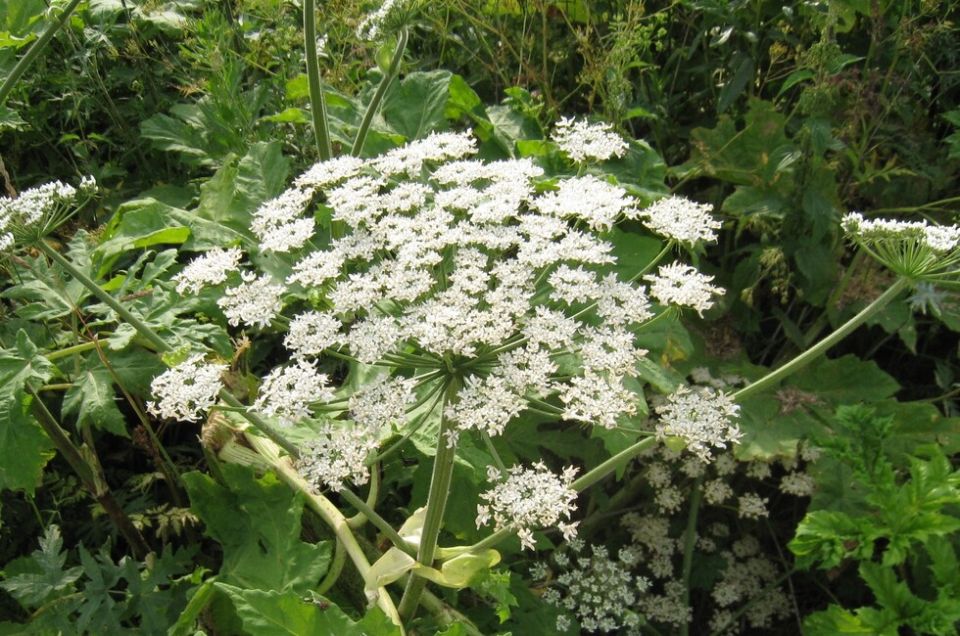 �������� ��� �������������. �� ����� �������� ����� ����������� � 1 �����