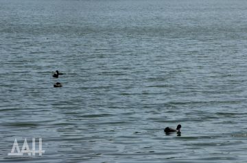 ���������� ��� ������������� ������� ������������ ��� ���� ��������