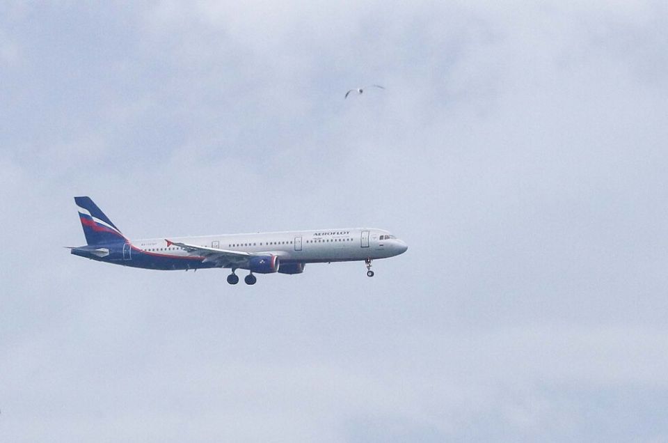 ��������: �� ������ ���������� ������ ������ ������������� � ���������