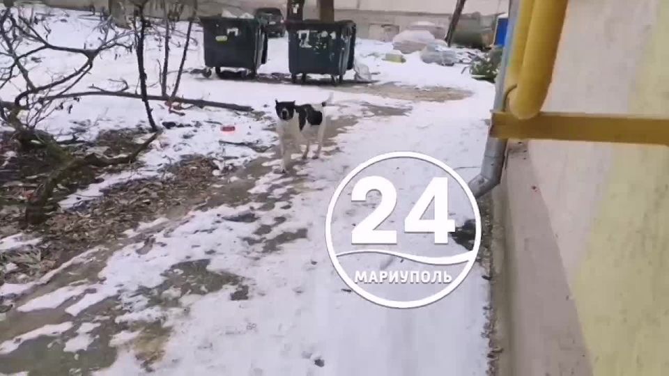 ����� ��������. ���� ������������ ����� ������� ���������� � ���������