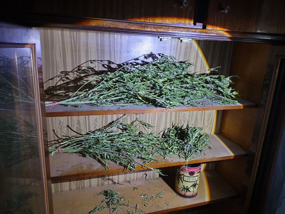 ���������� ������� ������ ������, ��������� � ���������� � ������ �������������� �.�